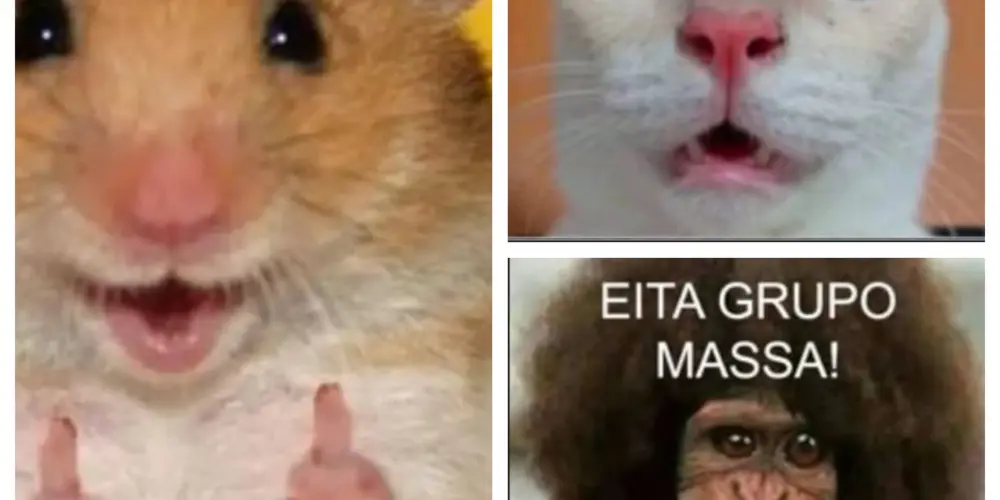 Imagem do grupo de WhatsApp Amizades