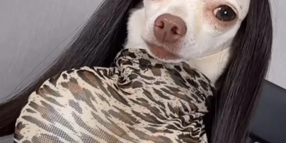 Imagem do grupo de WhatsApp Amizades 💸