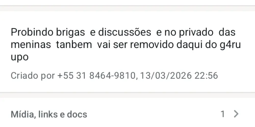 Imagem do grupo de WhatsApp Amizades