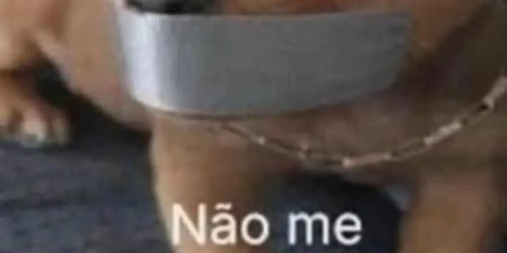 Imagem do grupo de WhatsApp Amizades