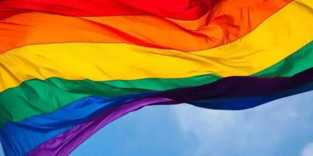 Imagem do grupo de WhatsApp Amizades 🏳️‍🌈💯