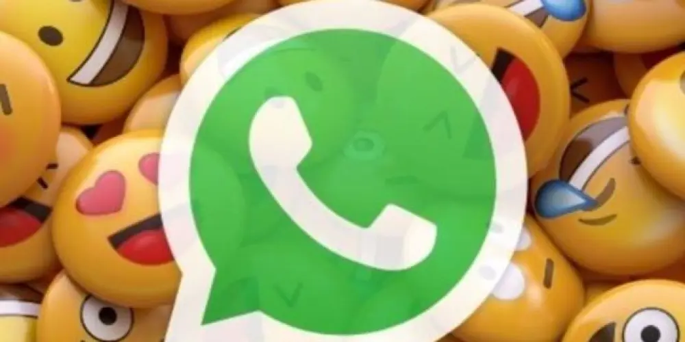 Imagem do grupo de WhatsApp ~AMIZADES B7 FOREST✓