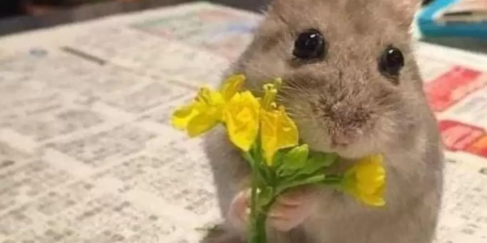 Imagem do grupo de WhatsApp Amizades boas