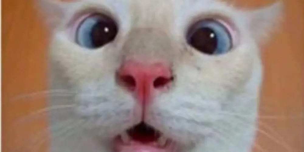 Imagem do grupo de WhatsApp Amizades colorida 🩷🖤💚