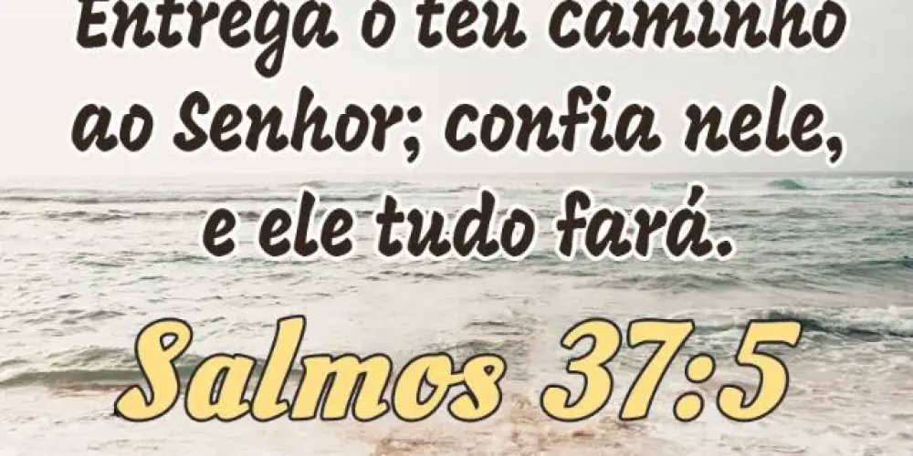 Imagem do grupo de WhatsApp (Amizades cristã)🙏Deus é fiel