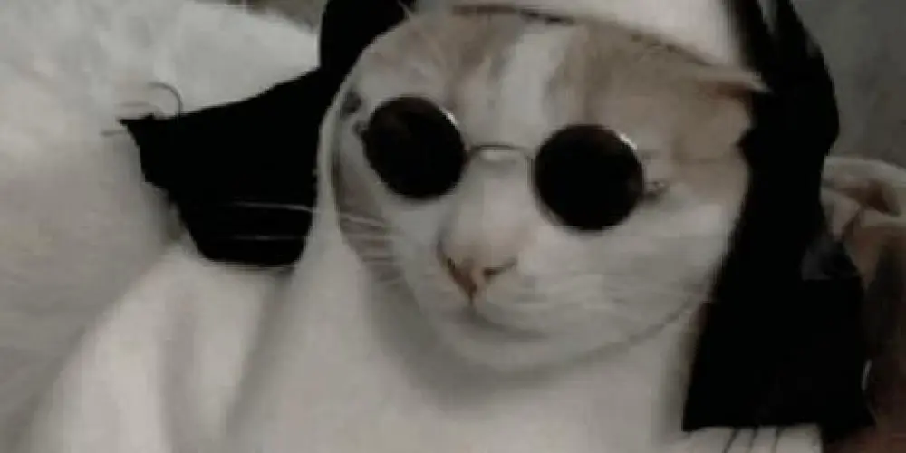 Imagem do grupo de WhatsApp Amizades Cristãs