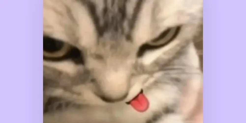 Imagem do grupo de WhatsApp Amizades da  web