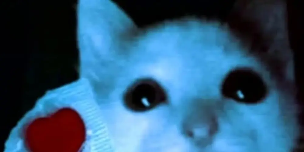 Imagem do grupo de WhatsApp Amizades dark