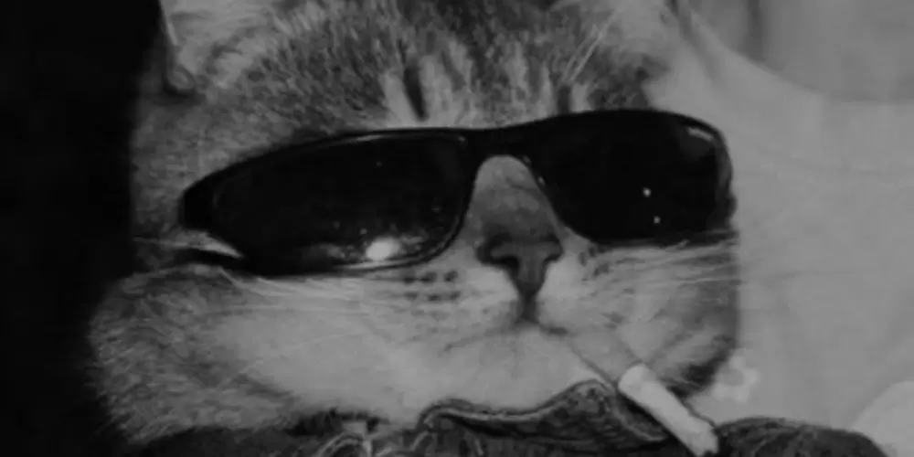 Imagem do grupo de WhatsApp Amizades de 12 a 15y 👍🏻