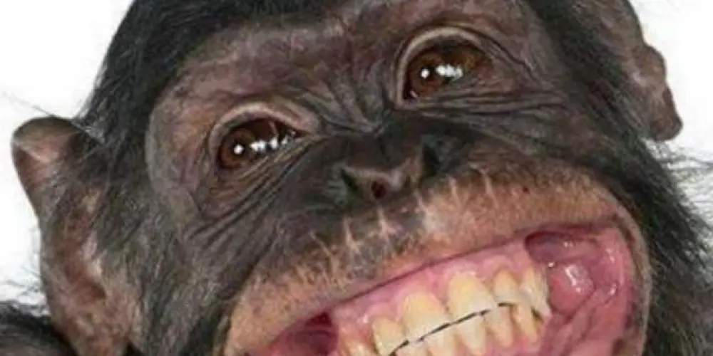 Imagem do grupo de WhatsApp Amizades de 13 a 17 anos❤️