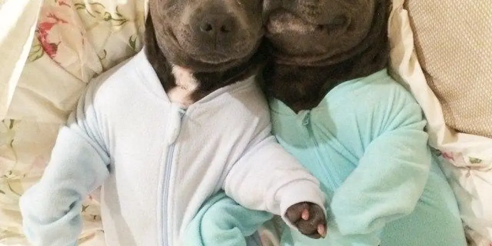 Imagem do grupo de WhatsApp 👻Amizades de 16 a 17 anos👻