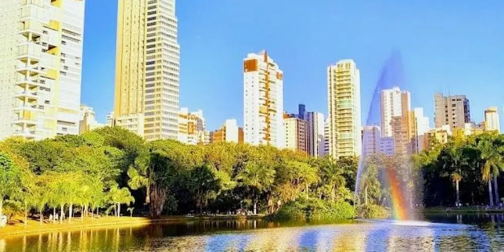 Imagem do grupo de WhatsApp Amizades de Goiânia e região