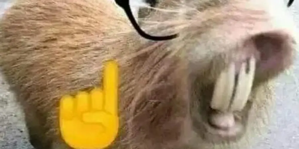 Imagem do grupo de WhatsApp (っ◔◡◔)っ ♥ AMIZADES E BATE PAPO ♥