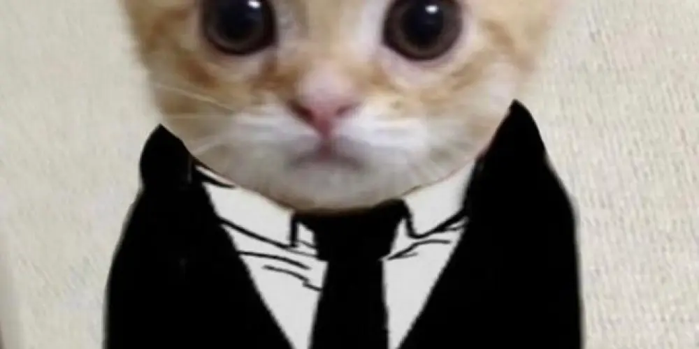 Imagem do grupo de WhatsApp Amizades e diversão🥰😈