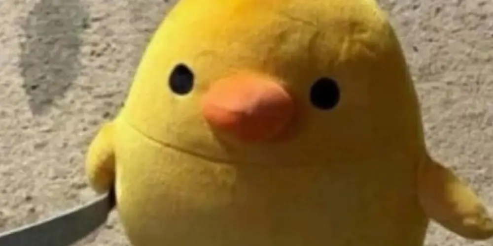 Imagem do grupo de WhatsApp Amizades e figurinhas