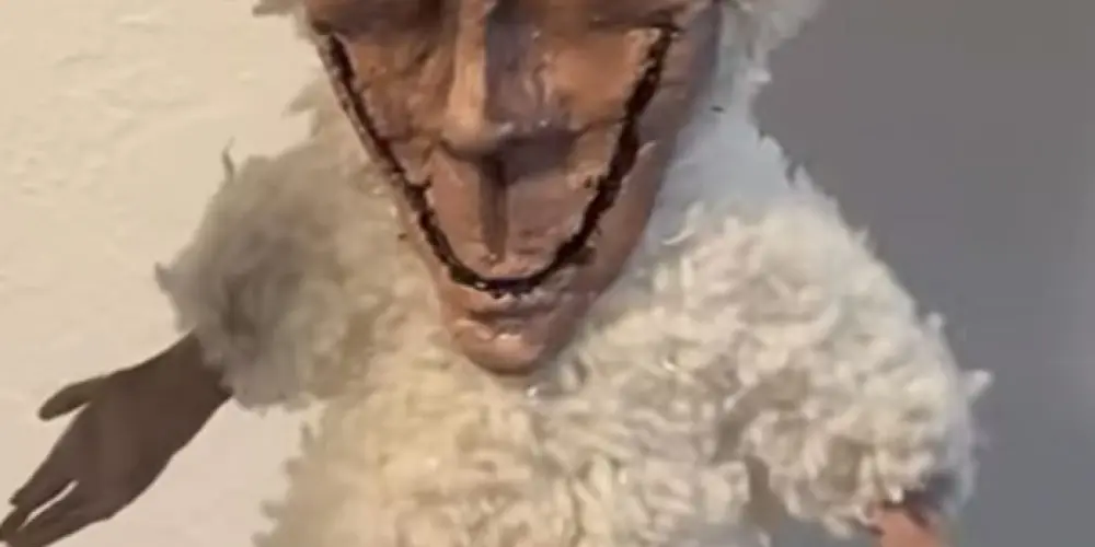 Imagem do grupo de WhatsApp amizades e figurinhas