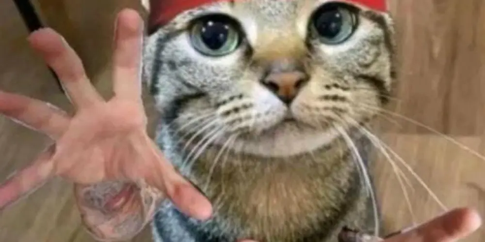 Imagem do grupo de WhatsApp Amizades e muito mais