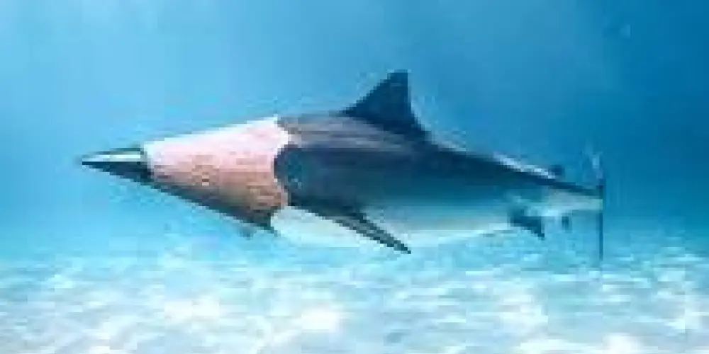 Imagem do grupo de WhatsApp Amizades e rolês