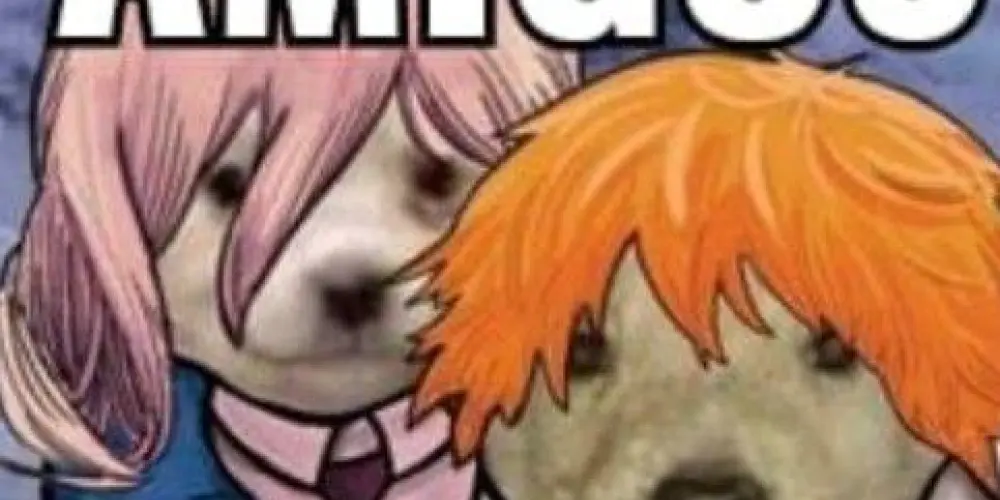 Imagem do grupo de WhatsApp amizades e união