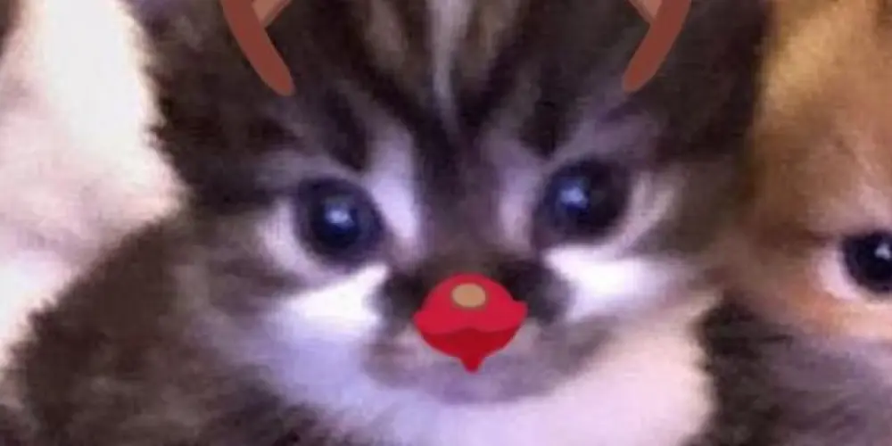 Imagem do grupo de WhatsApp Amizades e webnamoro