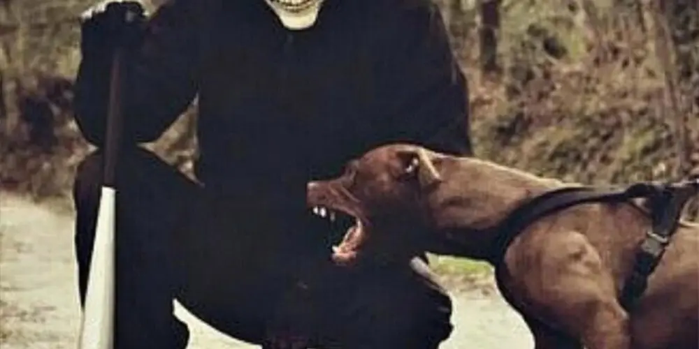 Imagem do grupo de WhatsApp Amizades e Zoeira