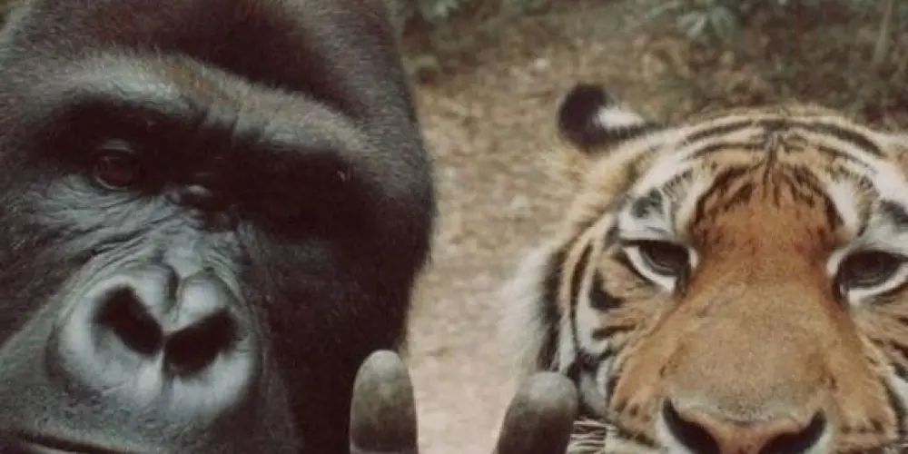 Imagem do grupo de WhatsApp *😎👽~AMIZADES É ZOEIRA ~§=🤪