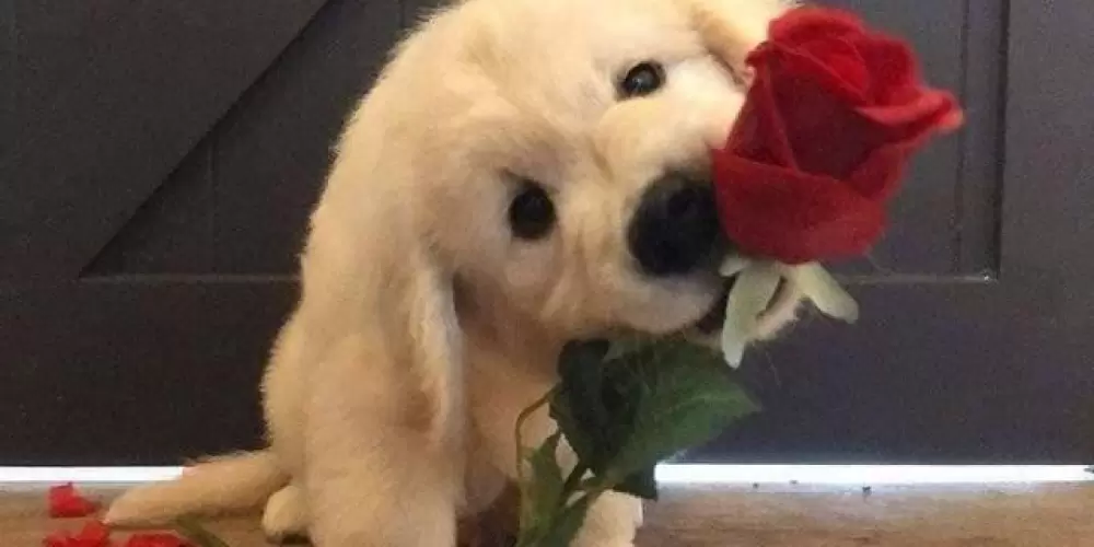 Imagem do grupo de WhatsApp ᜮ AMIZADES E ZUEIRA