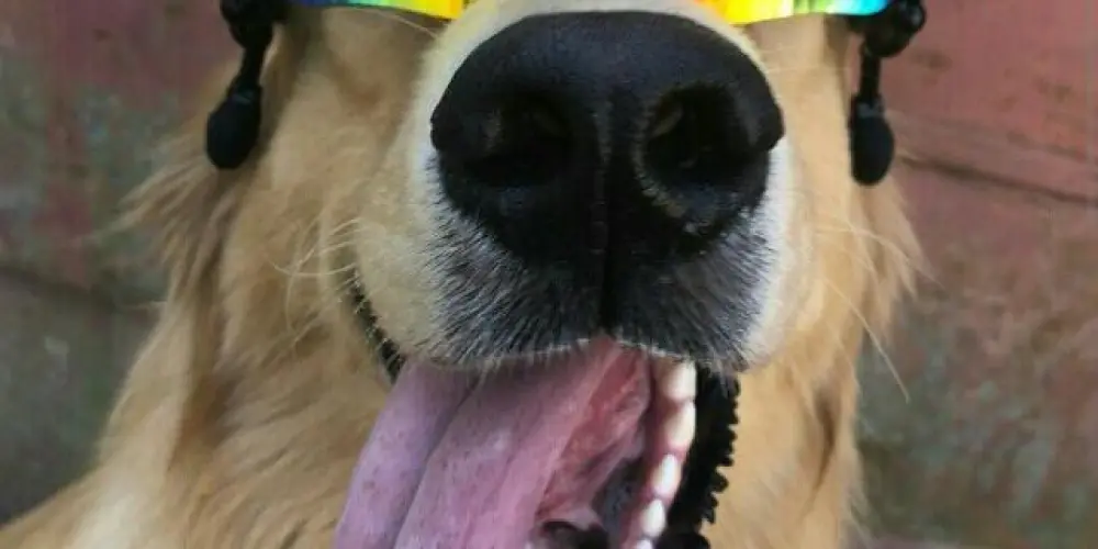 Imagem do grupo de WhatsApp 《Amizades e zueiras 》🥴