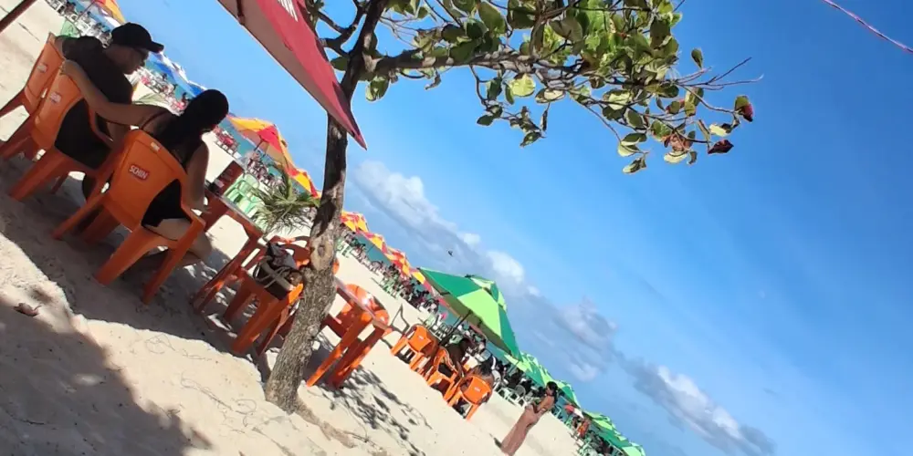 Imagem do grupo de WhatsApp Amizades Família Lion