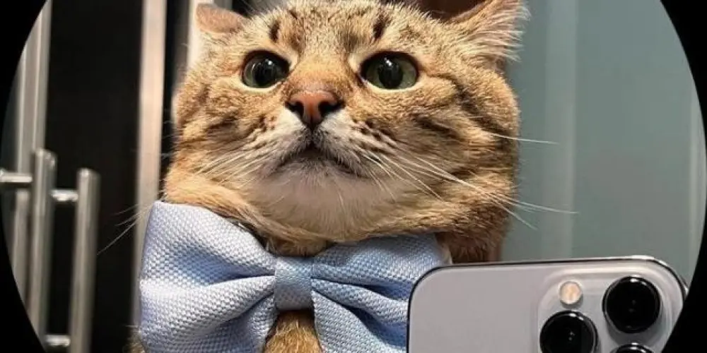 Imagem do grupo de WhatsApp AMIZADES FELIZ ❤️ GRUPO OFICIAL 🚀