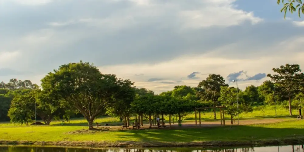 Imagem do grupo de WhatsApp Amizades Goiânia