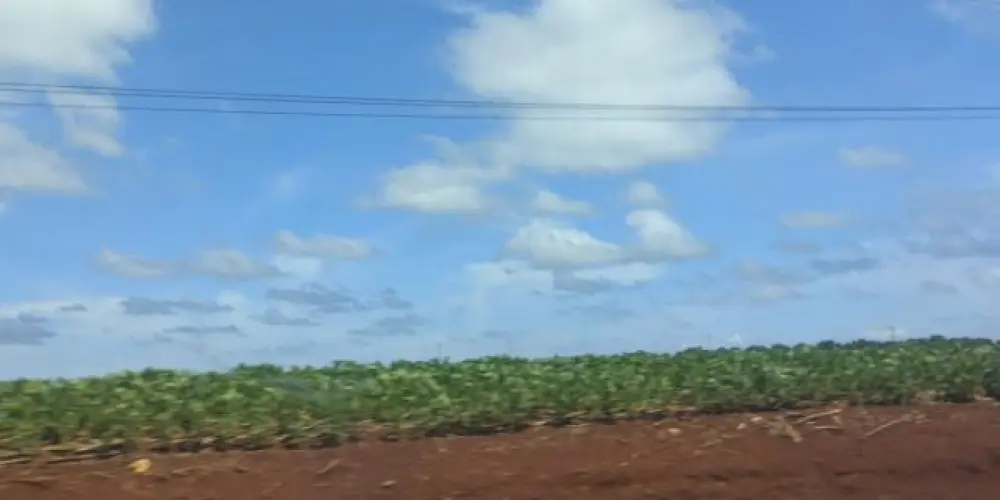 Imagem do grupo de WhatsApp Amizades incrível