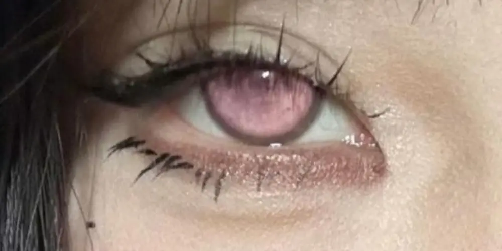 Imagem do grupo de WhatsApp Amizades lésbicas