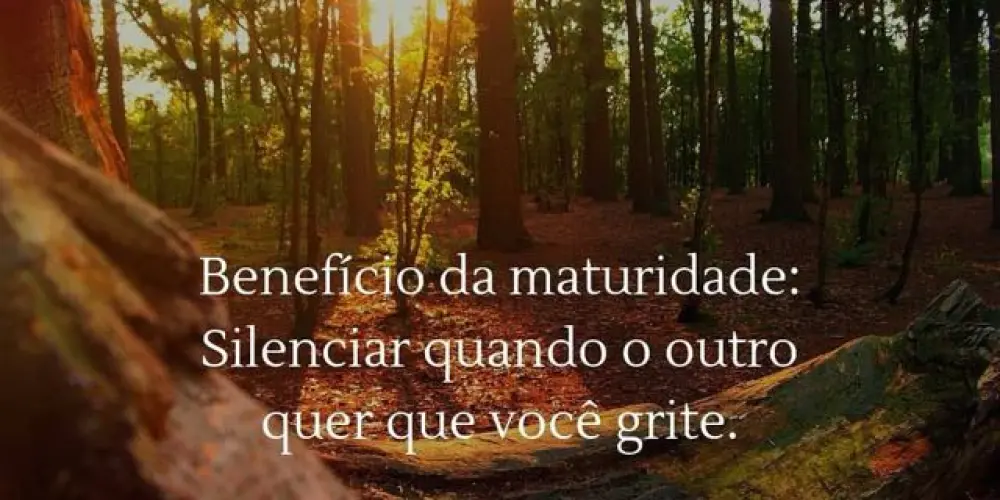 Imagem do grupo de WhatsApp AMIZADES MADURAS