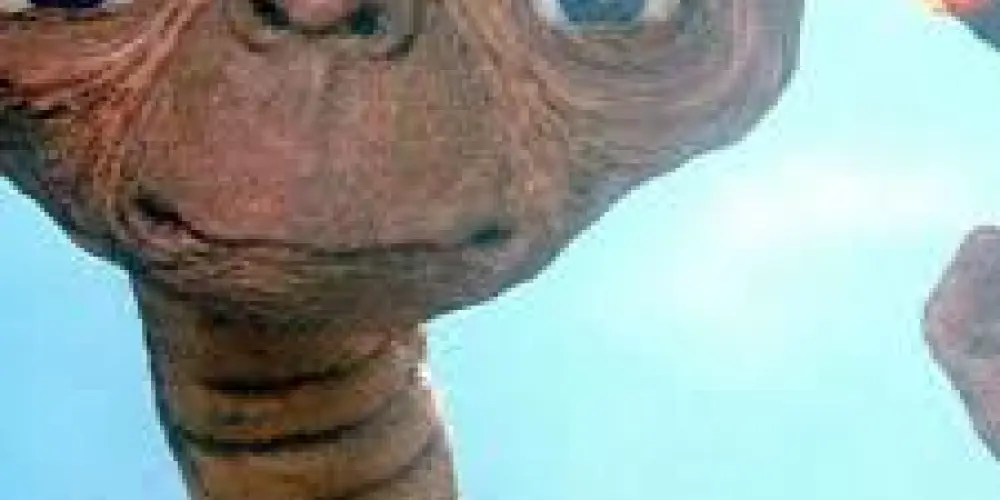 Imagem do grupo de WhatsApp Amizades Moc