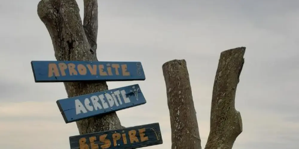 Imagem do grupo de WhatsApp Amizades novas 2024 🤪