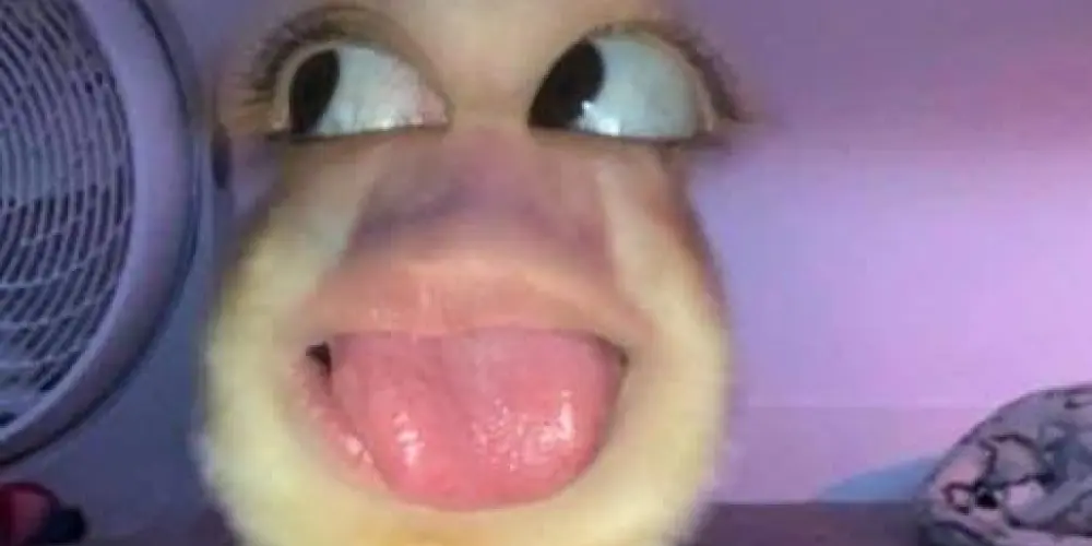 Imagem do grupo de WhatsApp Amizades novas🤍