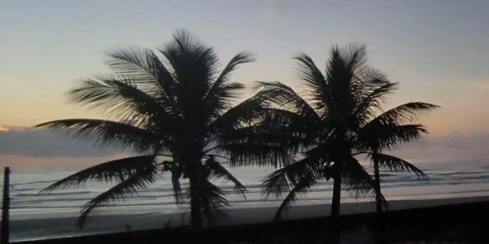 Imagem do grupo de WhatsApp amizades novas