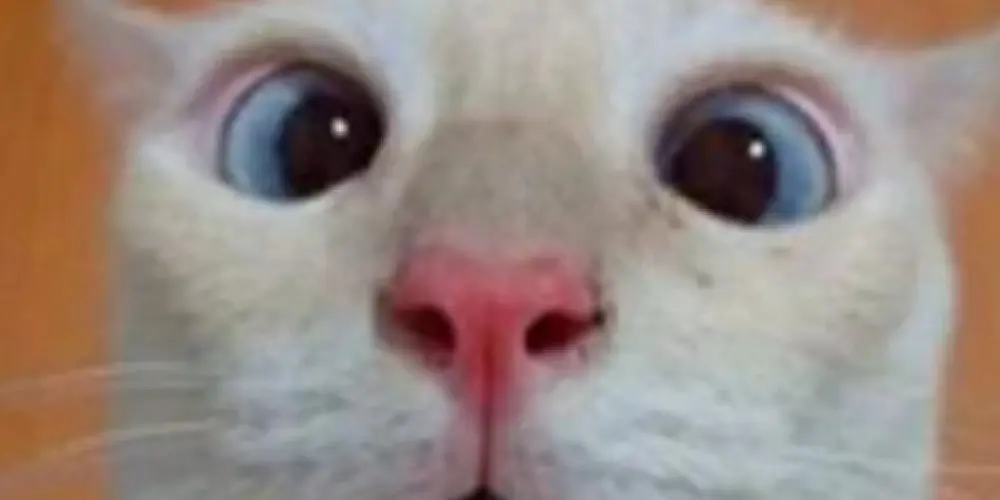 Imagem do grupo de WhatsApp Amizades novas e namor🔞