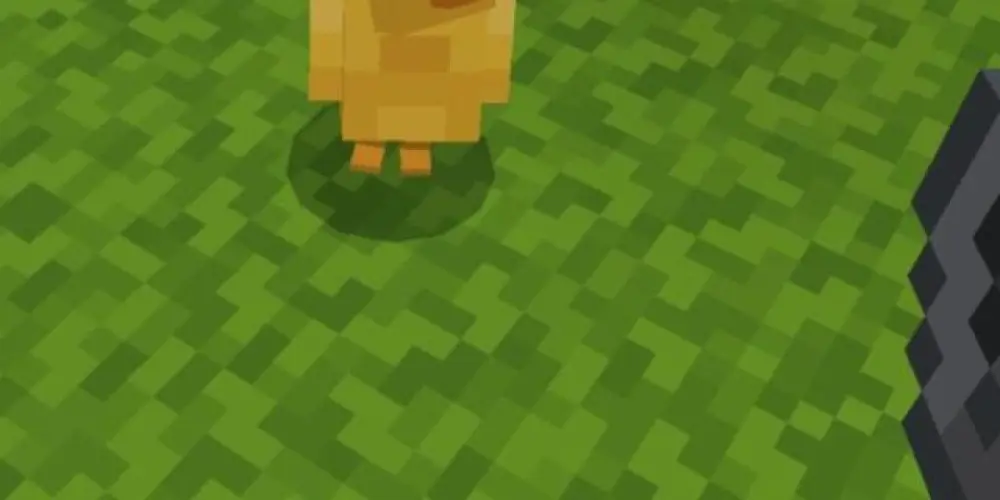 Imagem do grupo de WhatsApp Amizades On 🦆