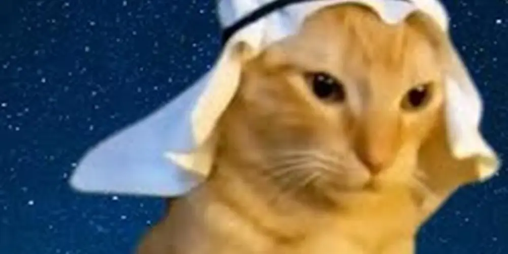 Imagem do grupo de WhatsApp AMIZADES ou não