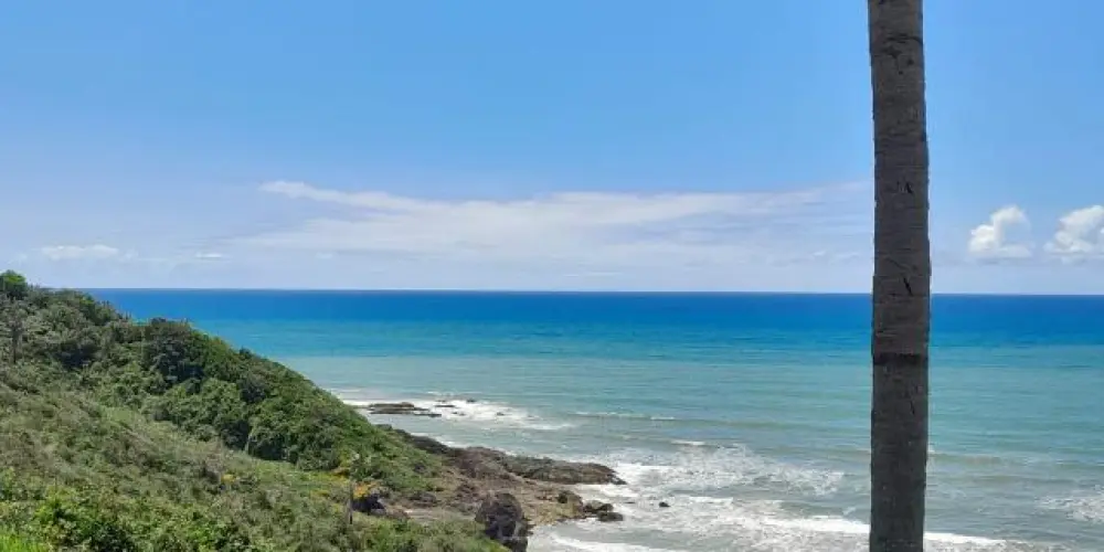 Imagem do grupo de WhatsApp Amizades para sempre ✨