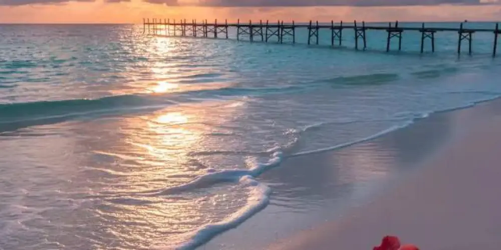 Imagem do grupo de WhatsApp AMIZADES RARAS ❤️👑