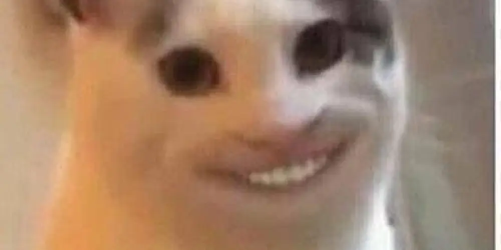 Imagem do grupo de WhatsApp Amizades sem fim 🏋🏻🔥