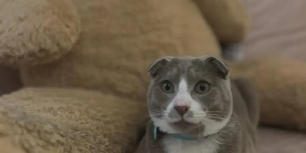 Imagem do grupo de WhatsApp Amizades verdadeira