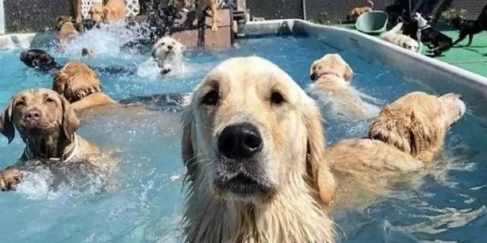 Imagem do grupo de WhatsApp Amizades verdadeiras