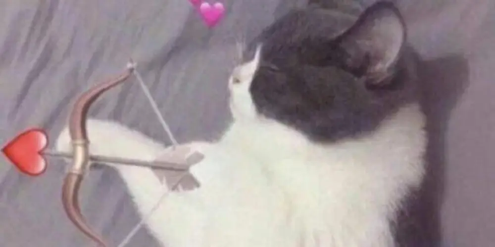 Imagem do grupo de WhatsApp Amizades virtuais❤️