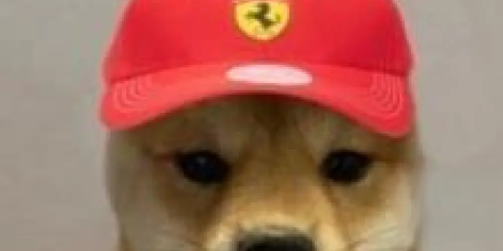 Imagem do grupo de WhatsApp Amizades virtuais ✨