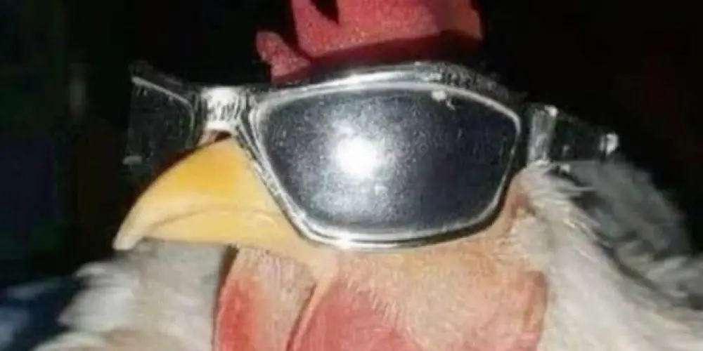 Imagem do grupo de WhatsApp Amizades web