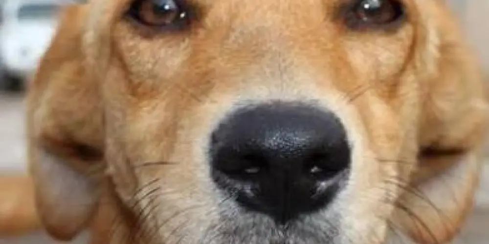 Imagem do grupo de WhatsApp AMIZADES ZONA NORTE SP 😁